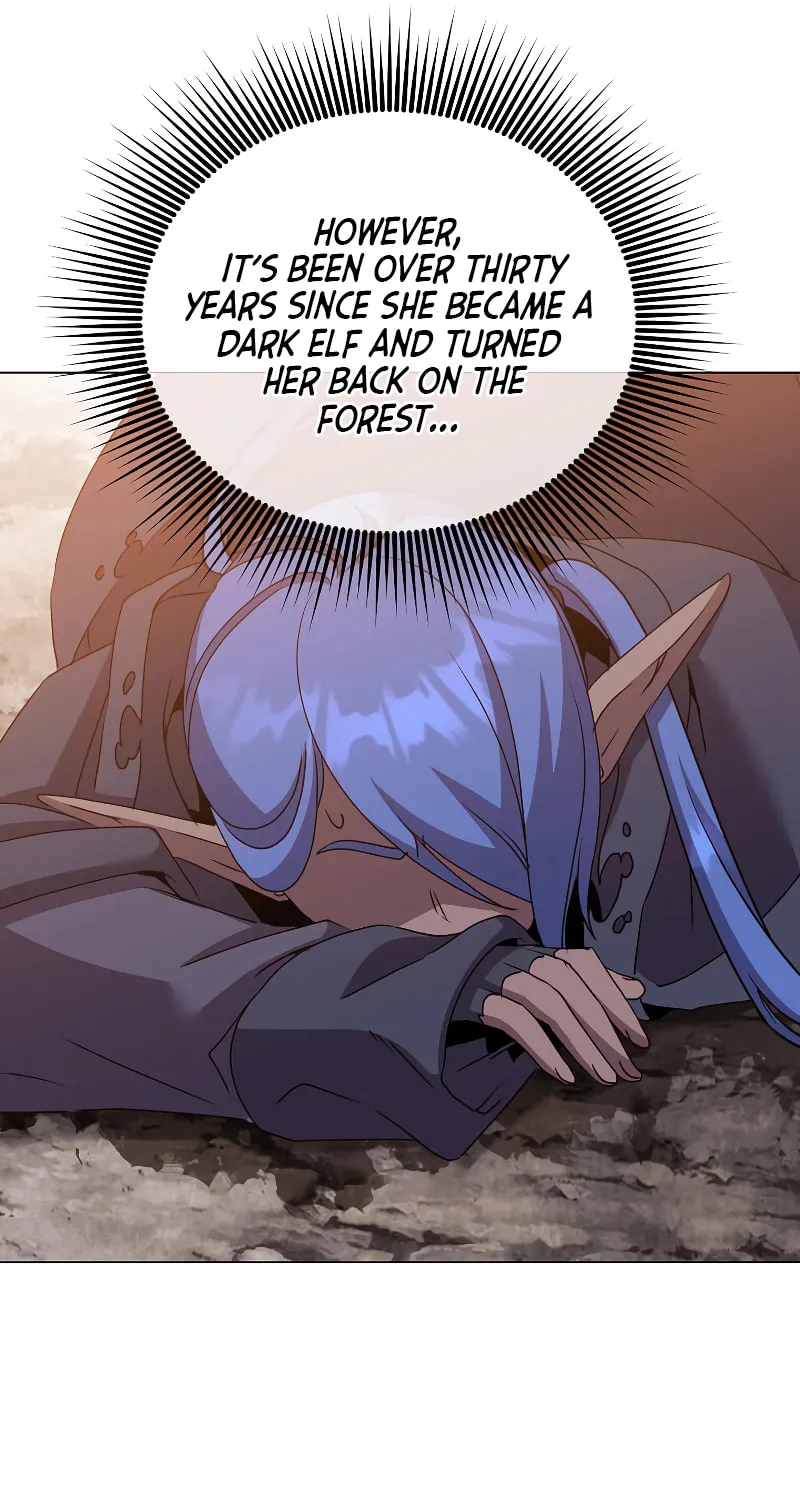 The Max Level Hero Strikes Back! Chapter 147 page 21 - 