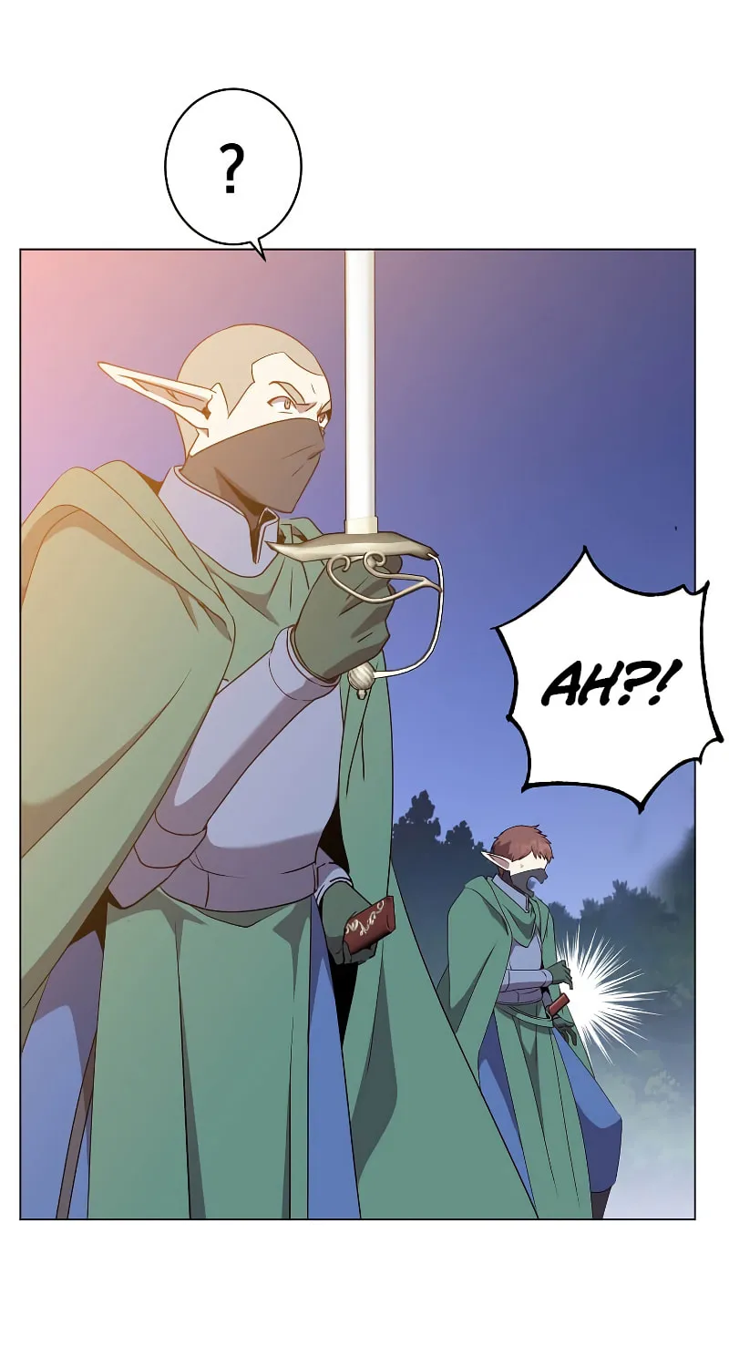 The Max Level Hero Strikes Back! Chapter 148 page 26 - 