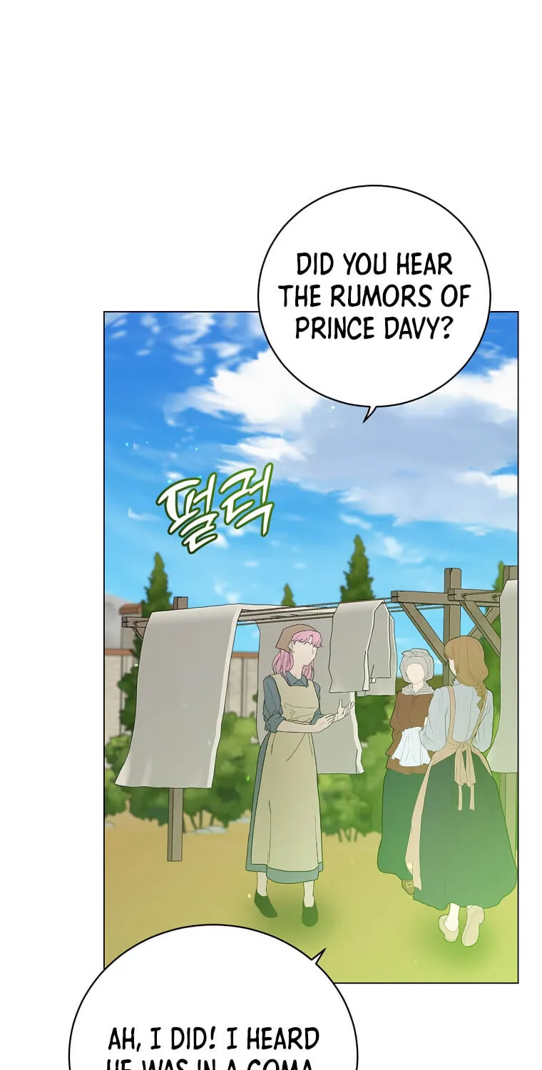 The Max Level Hero Strikes Back! Chapter 169 page 25 - 