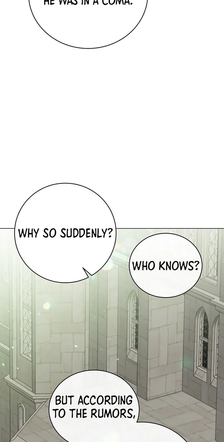 The Max Level Hero Strikes Back! Chapter 169 page 26 - 
