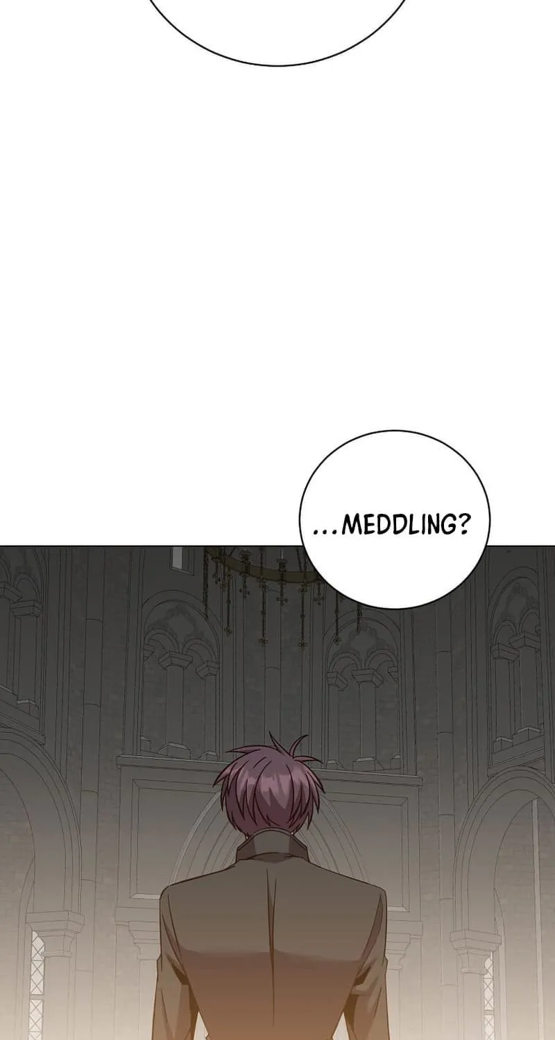 The Max Level Hero Strikes Back! Chapter 173 page 35 - 