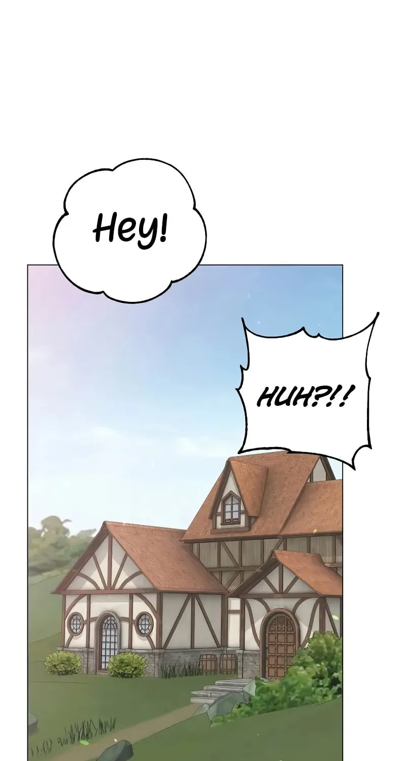 The Max Level Hero Strikes Back! Chapter 179 page 17 - 