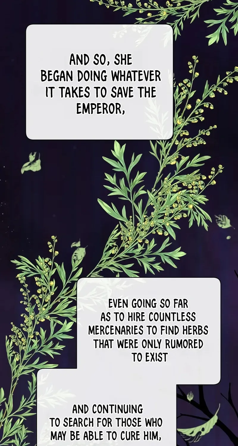 The Max Level Hero Strikes Back! Chapter 204 page 5 - 