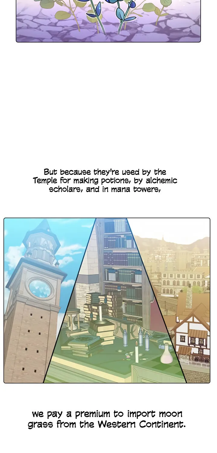 The Max Level Hero Strikes Back! Chapter 37 page 3 - 