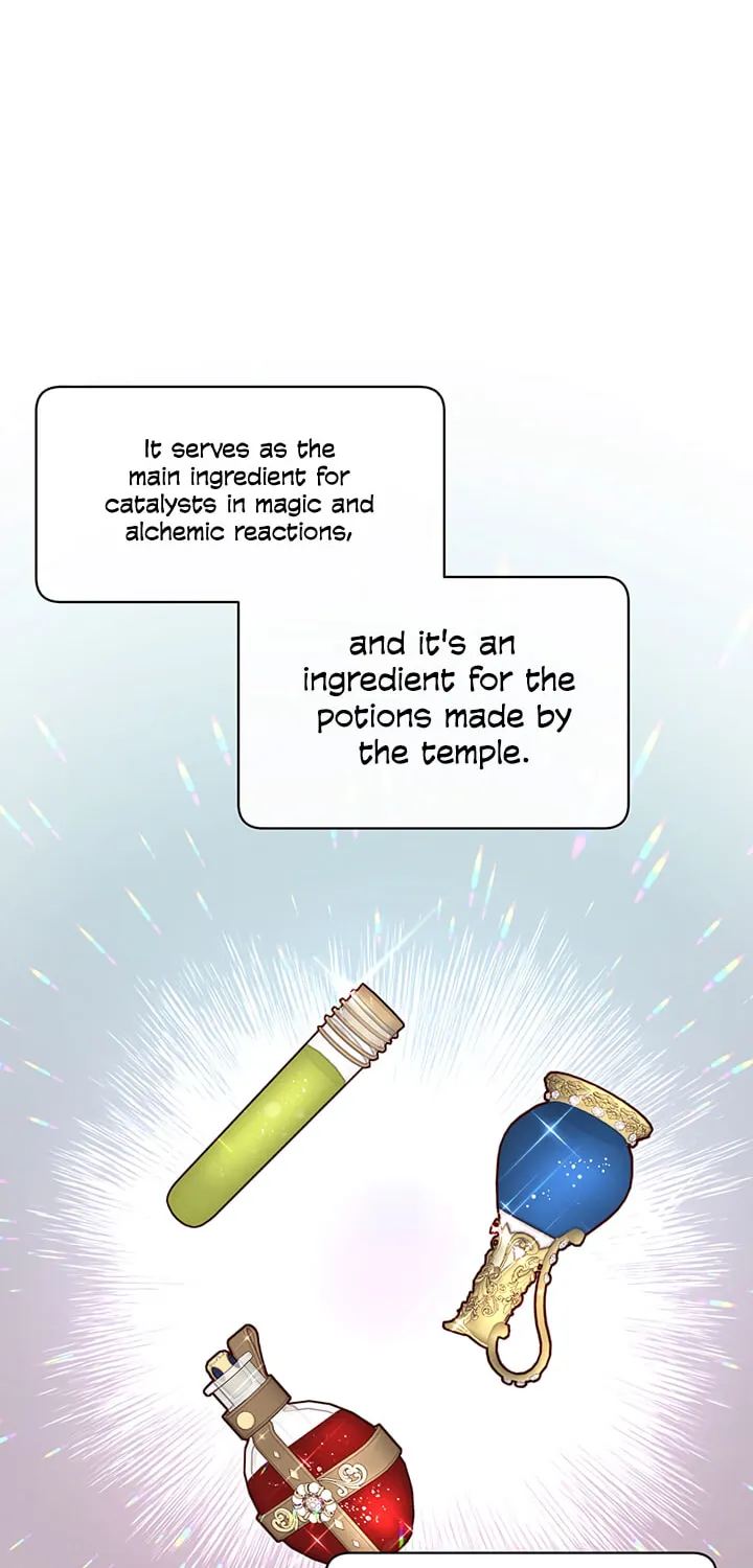 The Max Level Hero Strikes Back! Chapter 39 page 19 - 