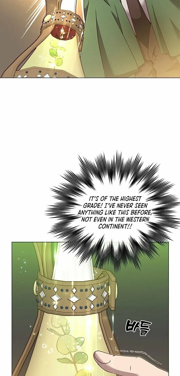 The Max Level Hero Strikes Back! Chapter 40 page 14 - 