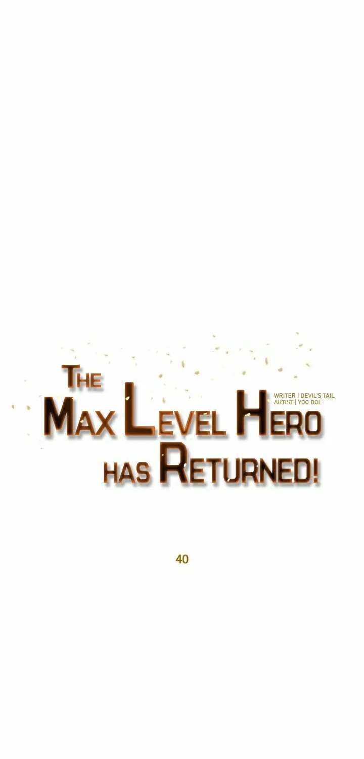 The Max Level Hero Strikes Back! Chapter 40 page 29 - 