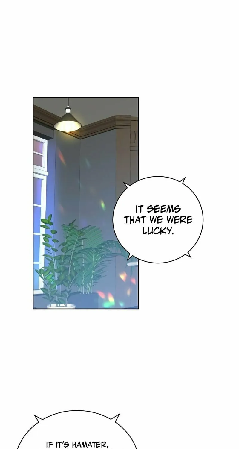 The Max Level Hero Strikes Back! Chapter 83 page 3 - 