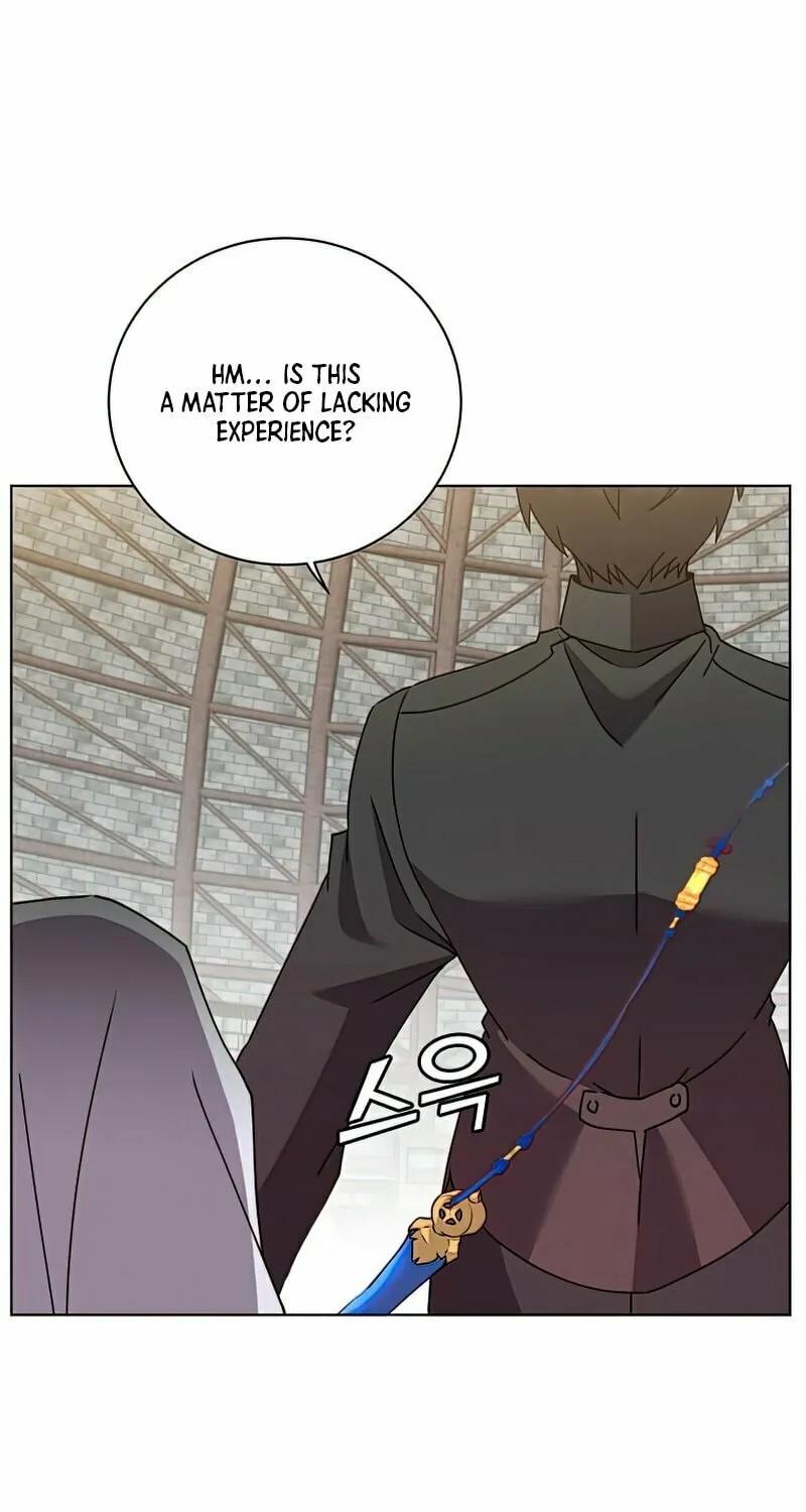 The Max Level Hero Strikes Back! Chapter 96 page 30 - 