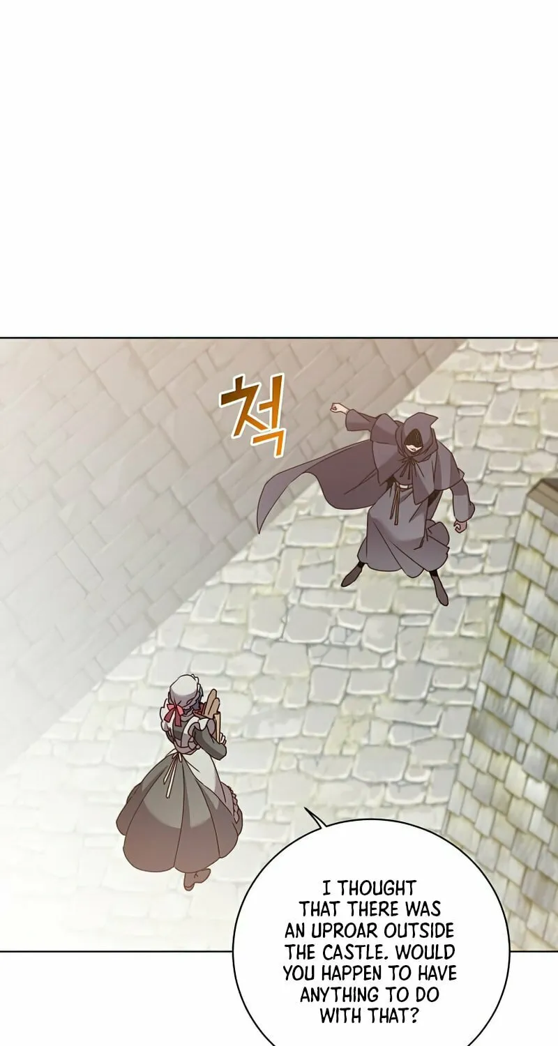 The Max Level Hero Strikes Back! Chapter 99 page 25 - 