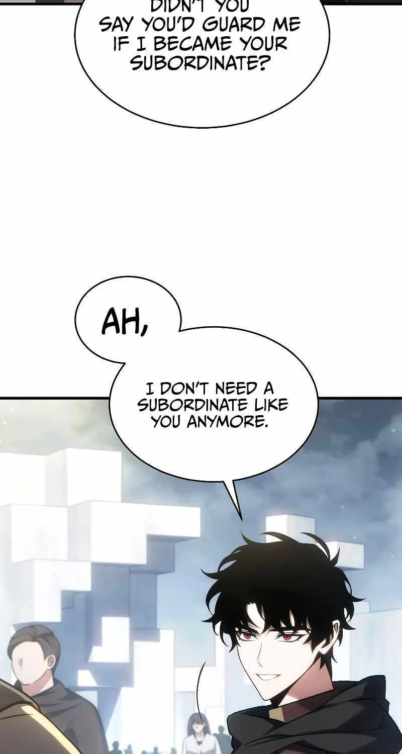 The Max-Level Player’s 100th Regression Chapter 33 page 105 - 