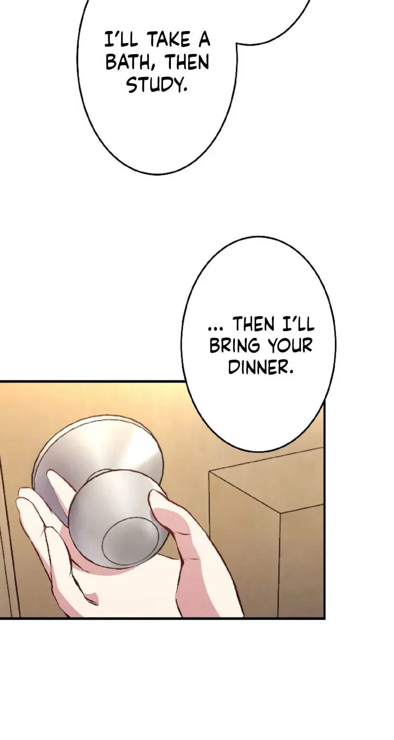 The Mirror of Janus Chapter 4 page 30 - 
