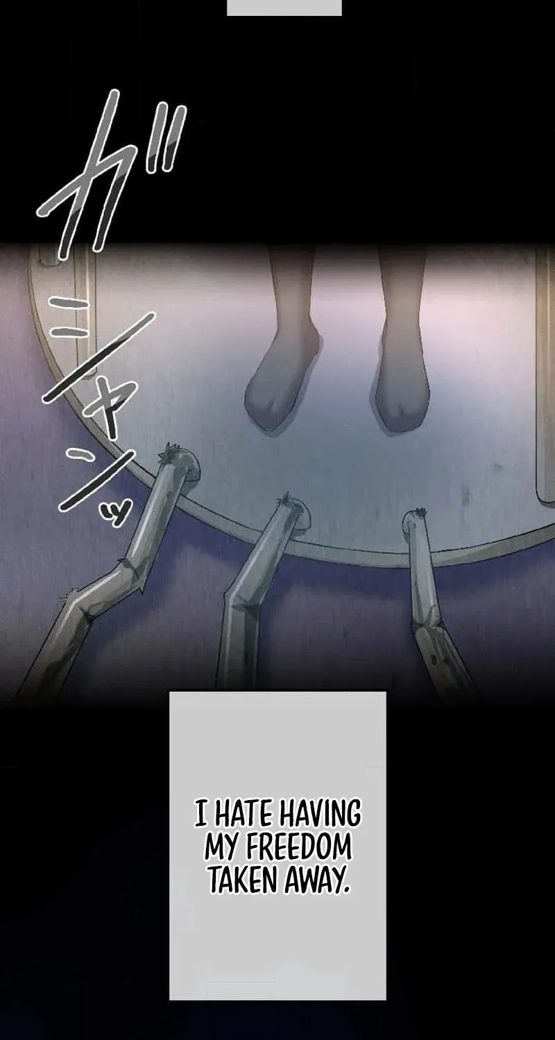 The Mirror of Janus Chapter 6 page 18 - 