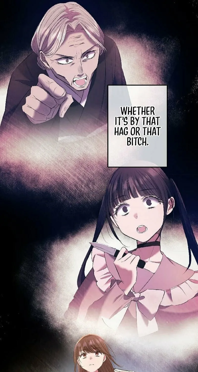 The Mirror of Janus Chapter 6 page 20 - 
