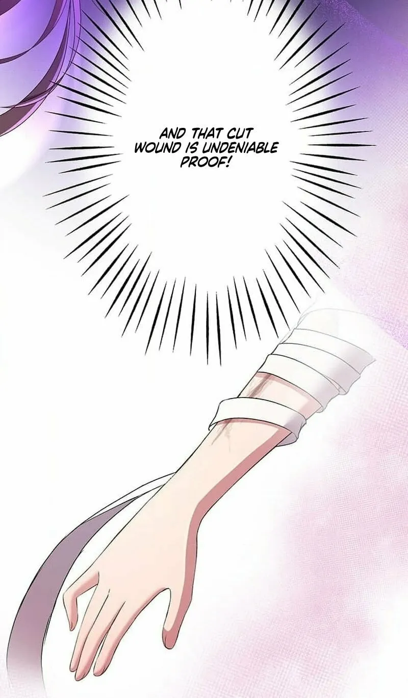 The Mirror of Janus Chapter 8 page 70 - 