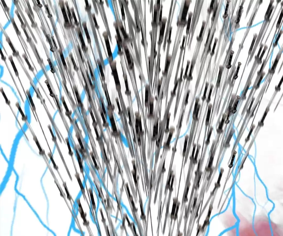 The Misguided Chapter 56 page 59 - 