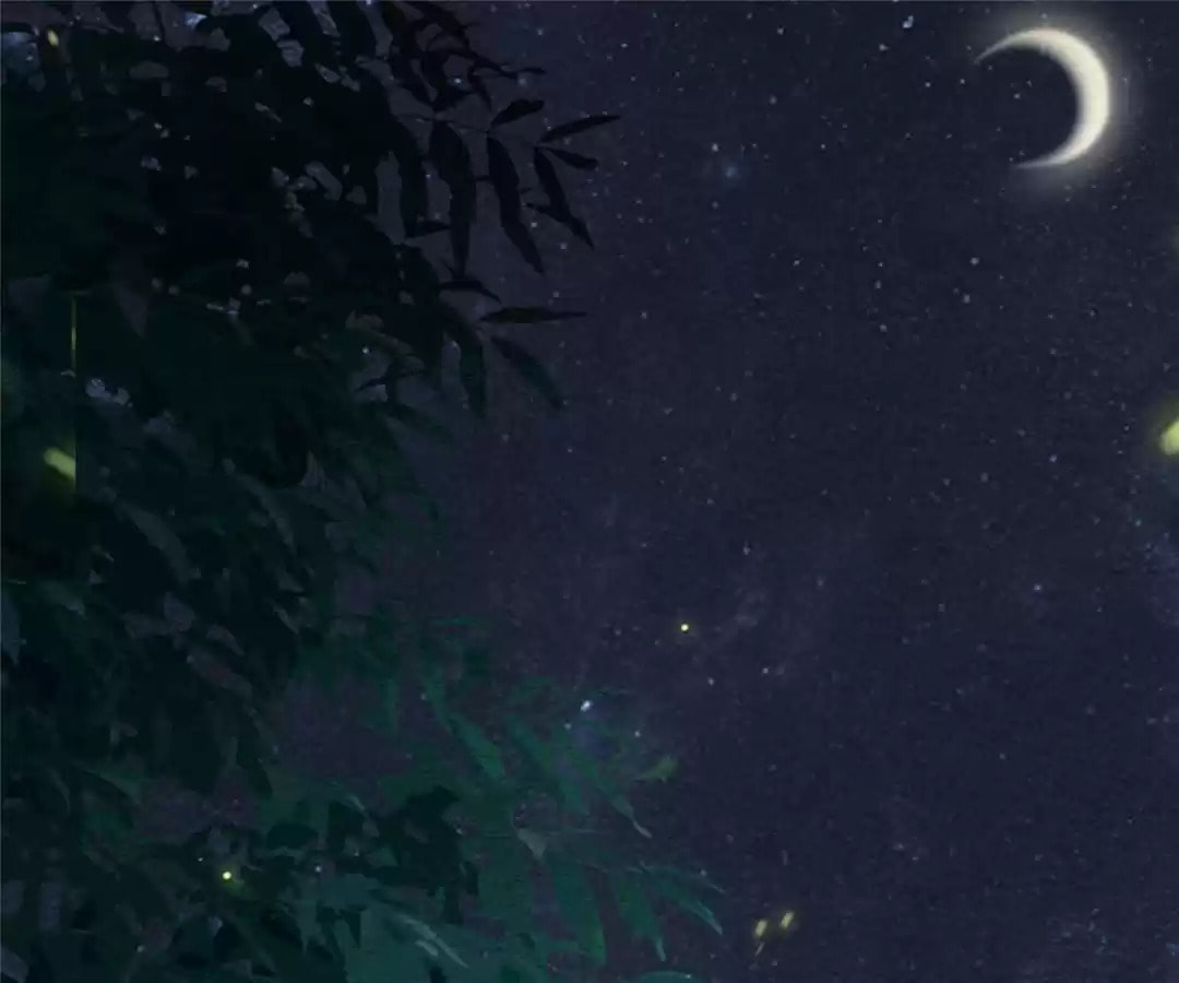 The Misguided Chapter 68 page 70 - 