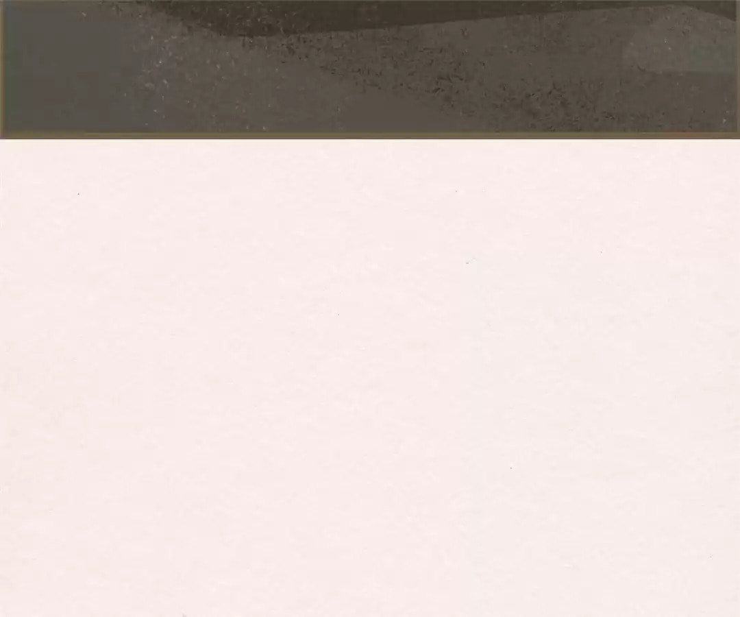 The Misguided Chapter 71 page 14 - 