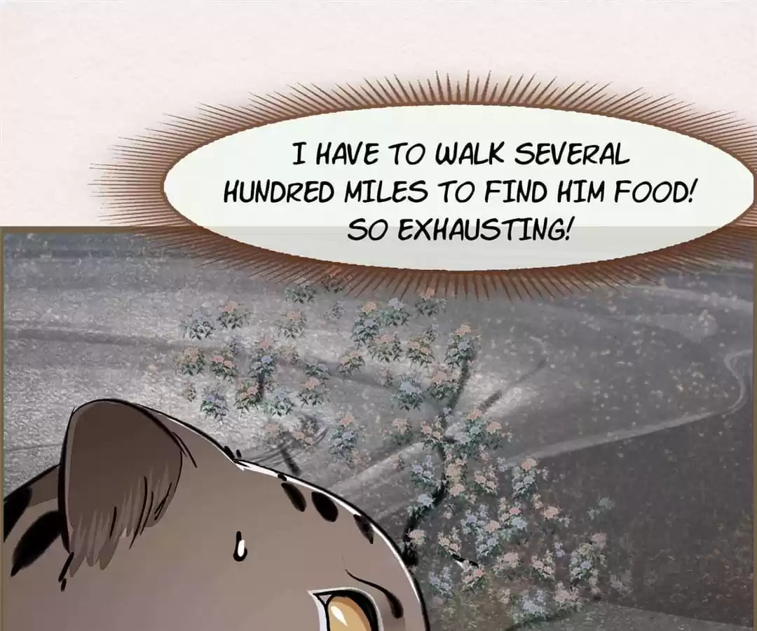 The Misguided Chapter 71 page 24 - 