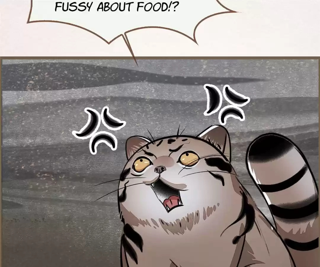The Misguided Chapter 71 page 43 - 
