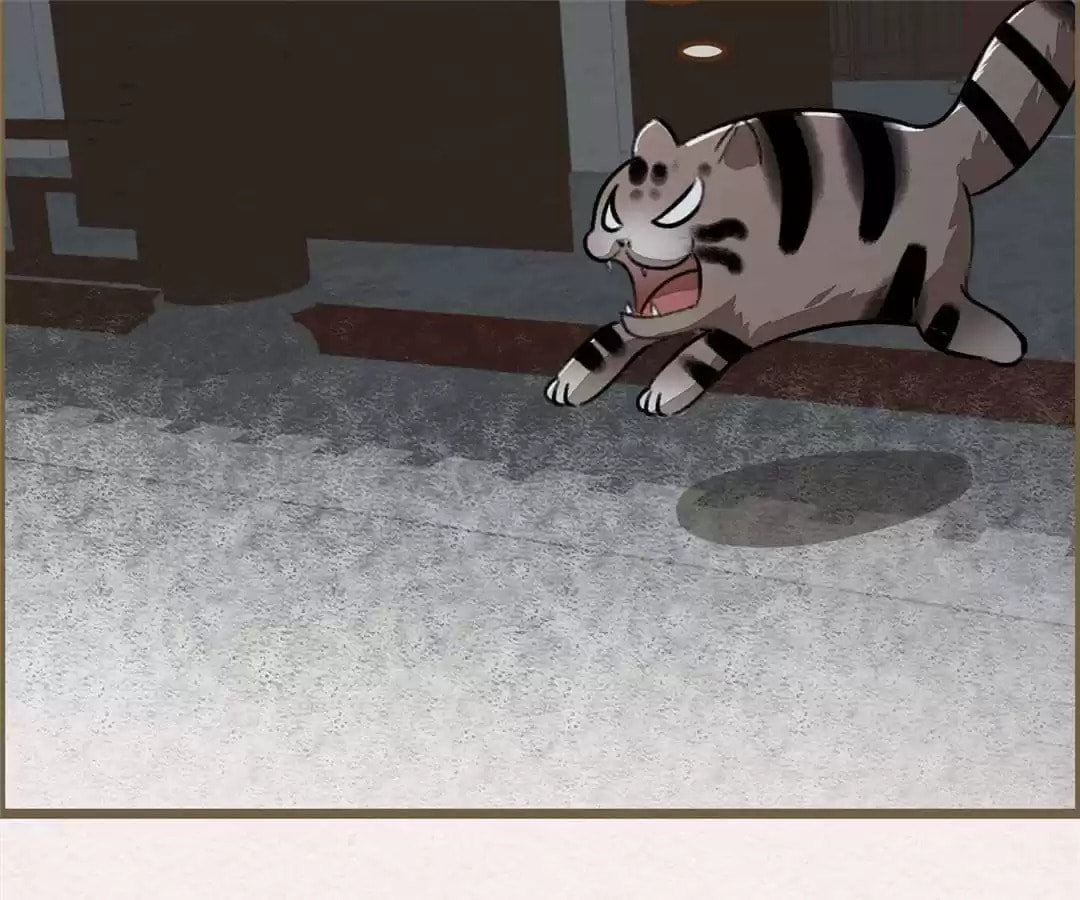 The Misguided Chapter 74 page 68 - 