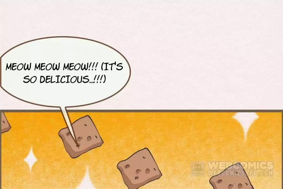 The Misguided Chapter 75 page 64 - 