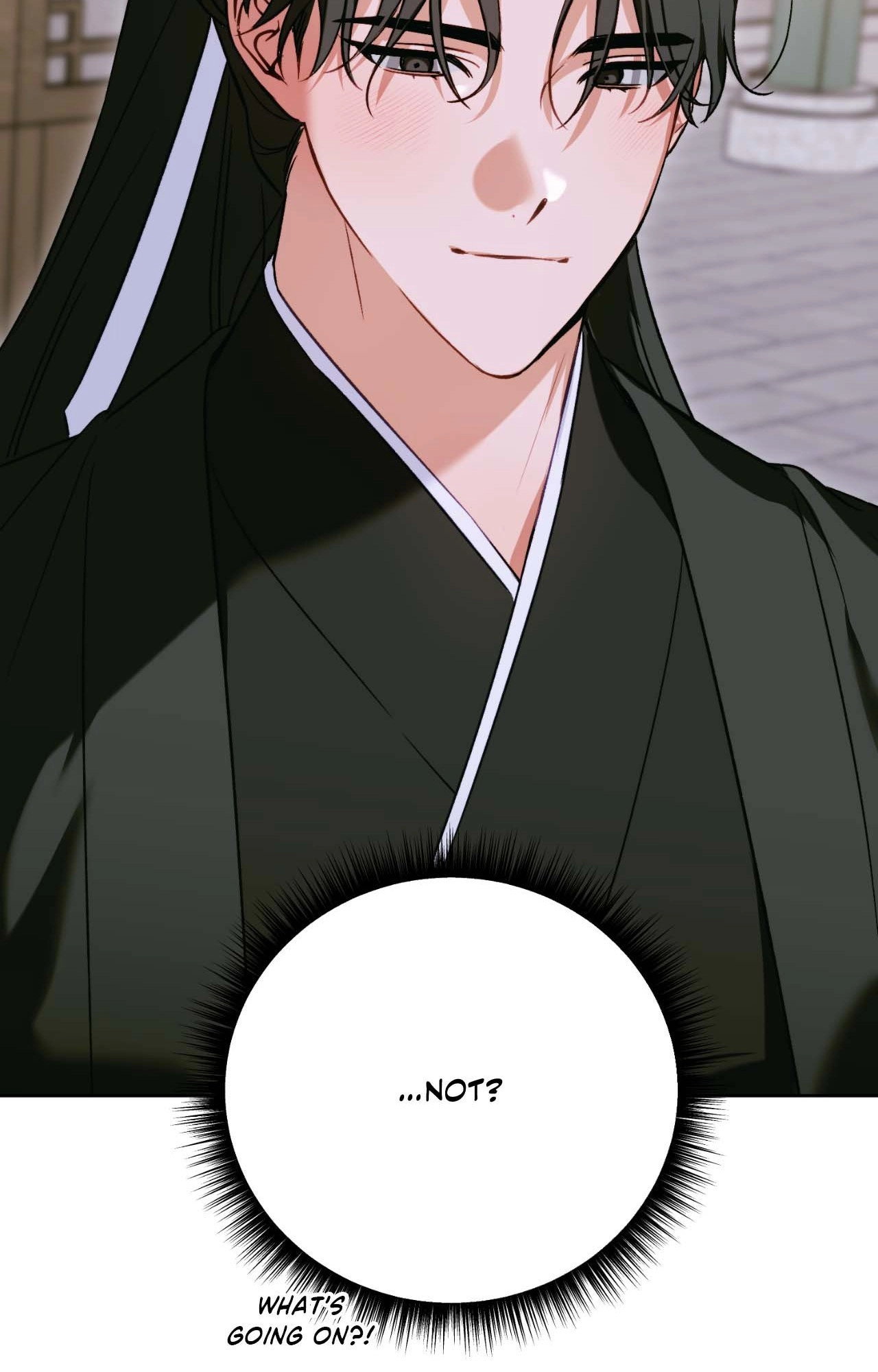 The Missing Master Chapter 25 page 65 - 