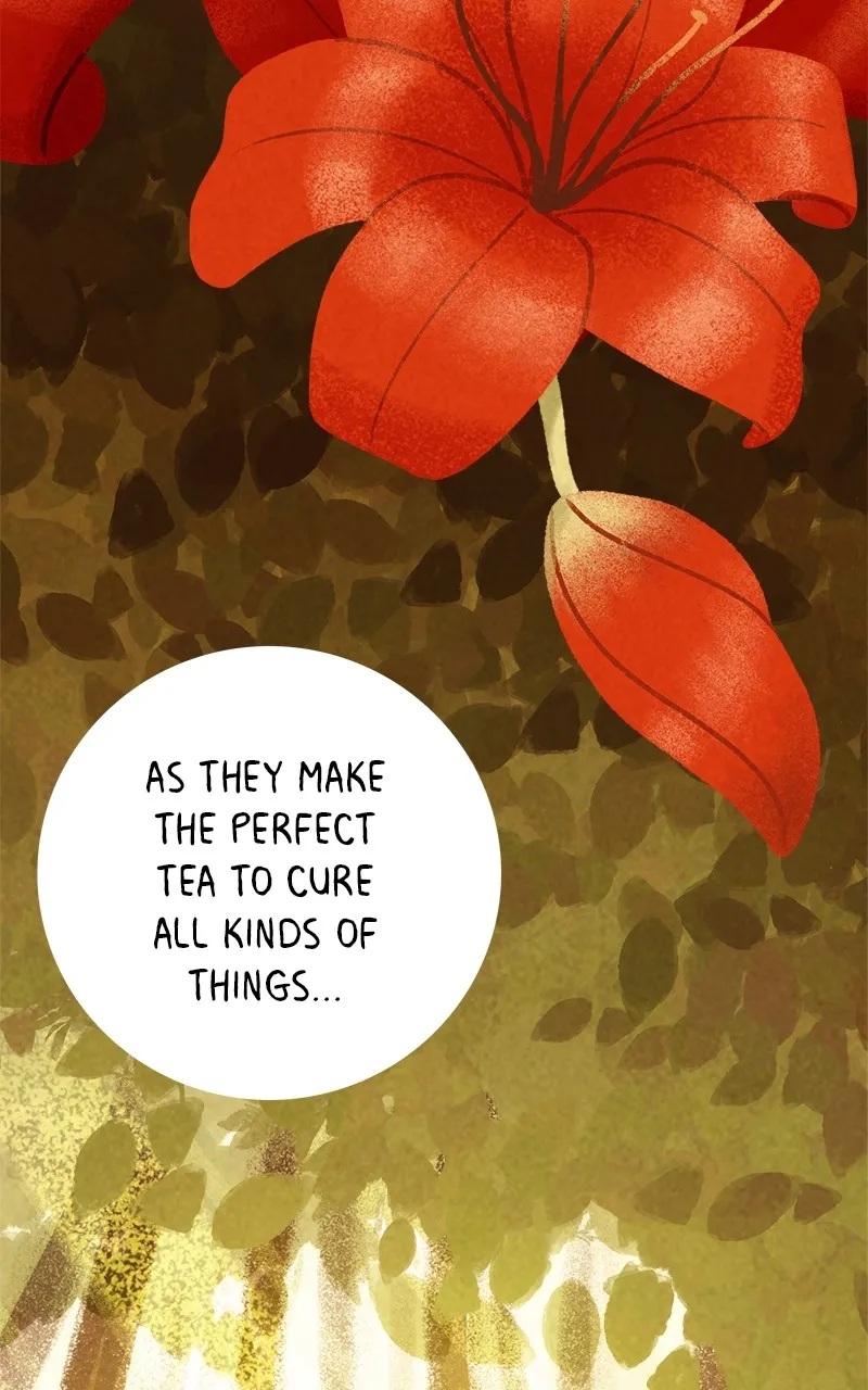 The Mushroom Girl Chapter 1 page 44 - 