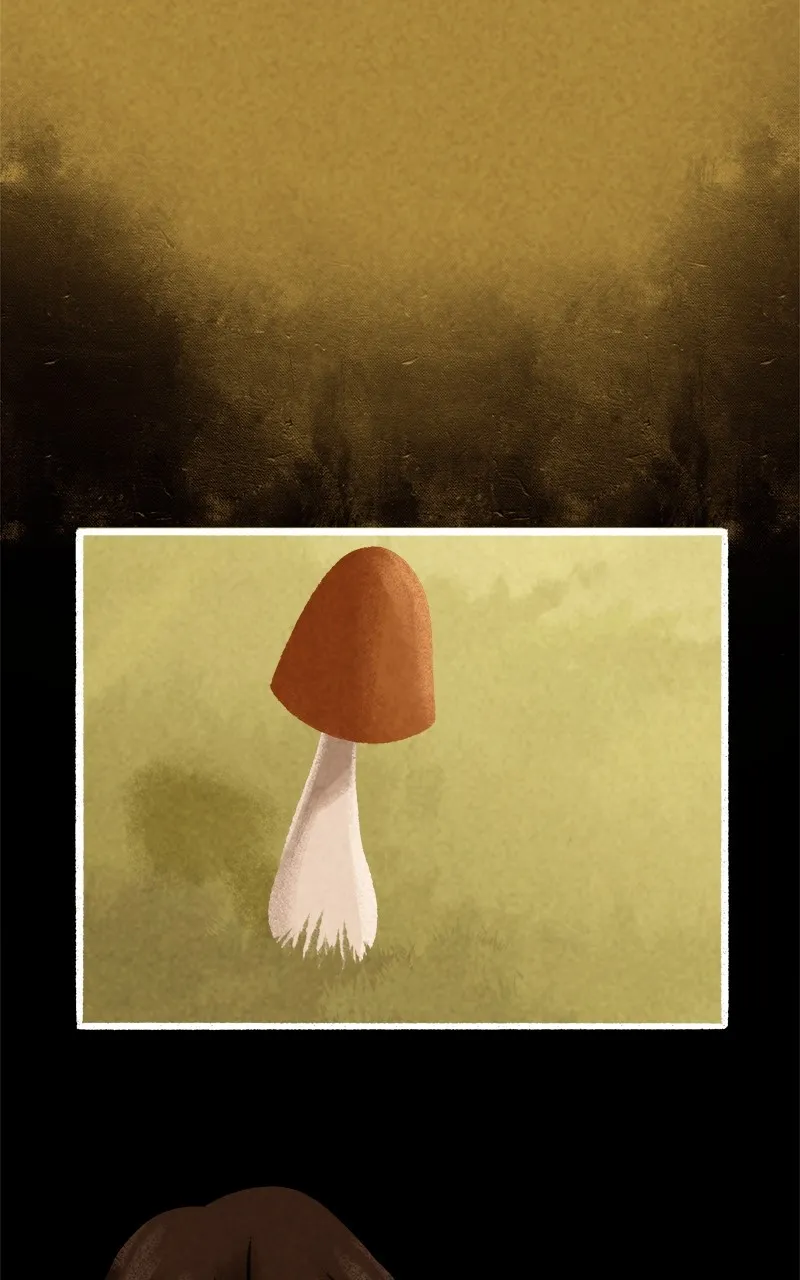 The Mushroom Girl Chapter 2 page 29 - 