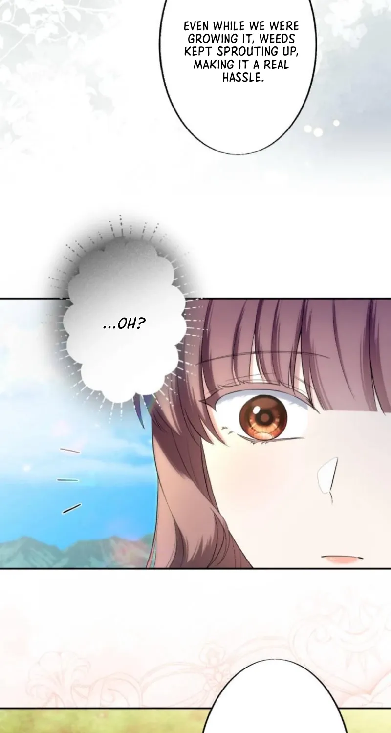The Neglected Wife Refuses the Convent Chapter 14 page 39 - 
