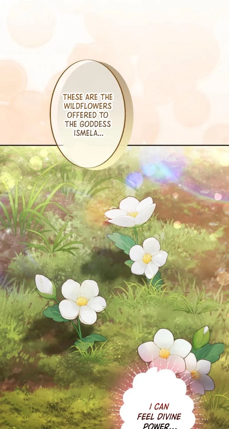 The Neglected Wife Refuses the Convent Chapter 14 page 42 - 