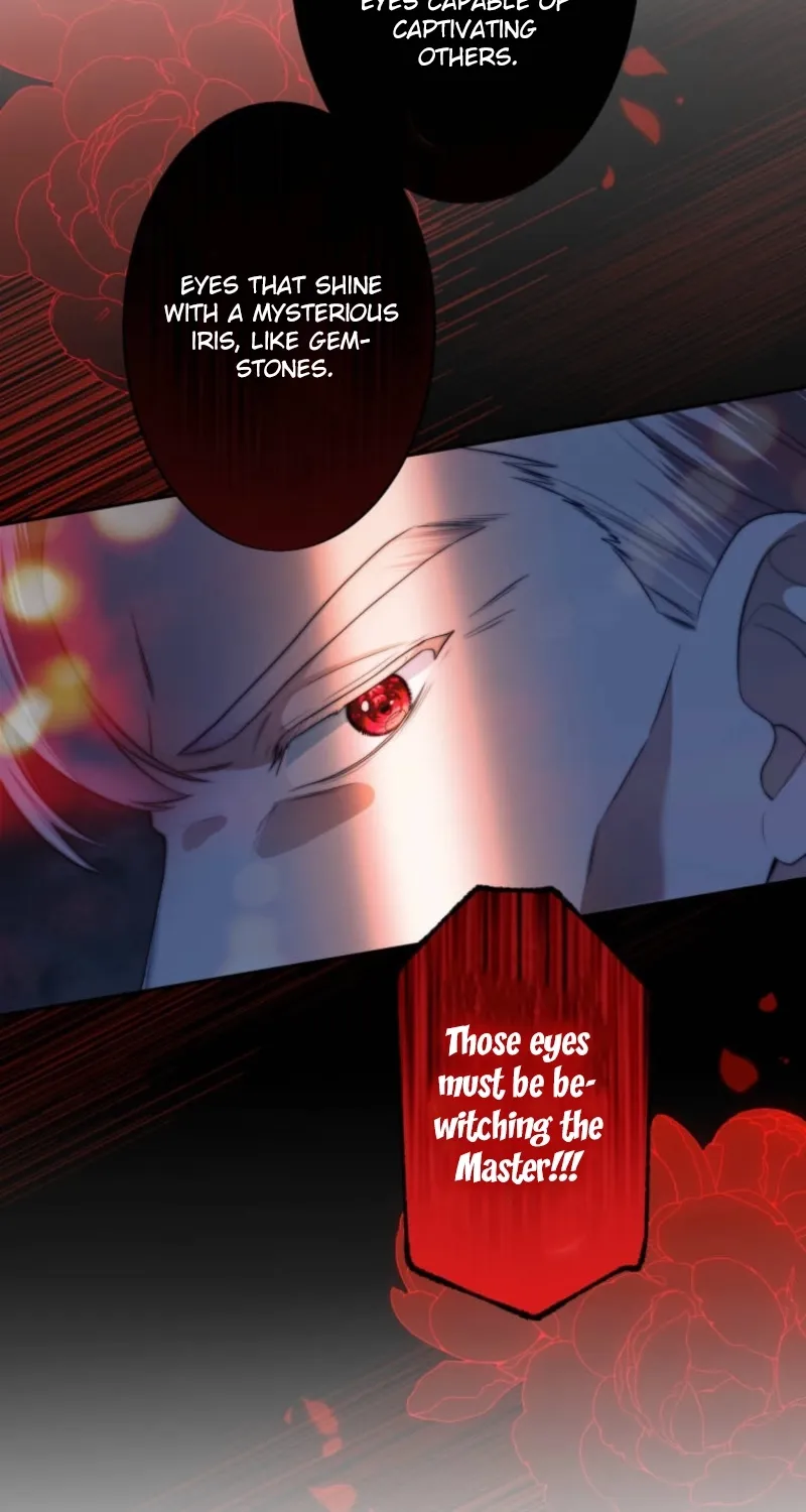 The Neglected Wife Refuses the Convent Chapter 21 page 82 - 