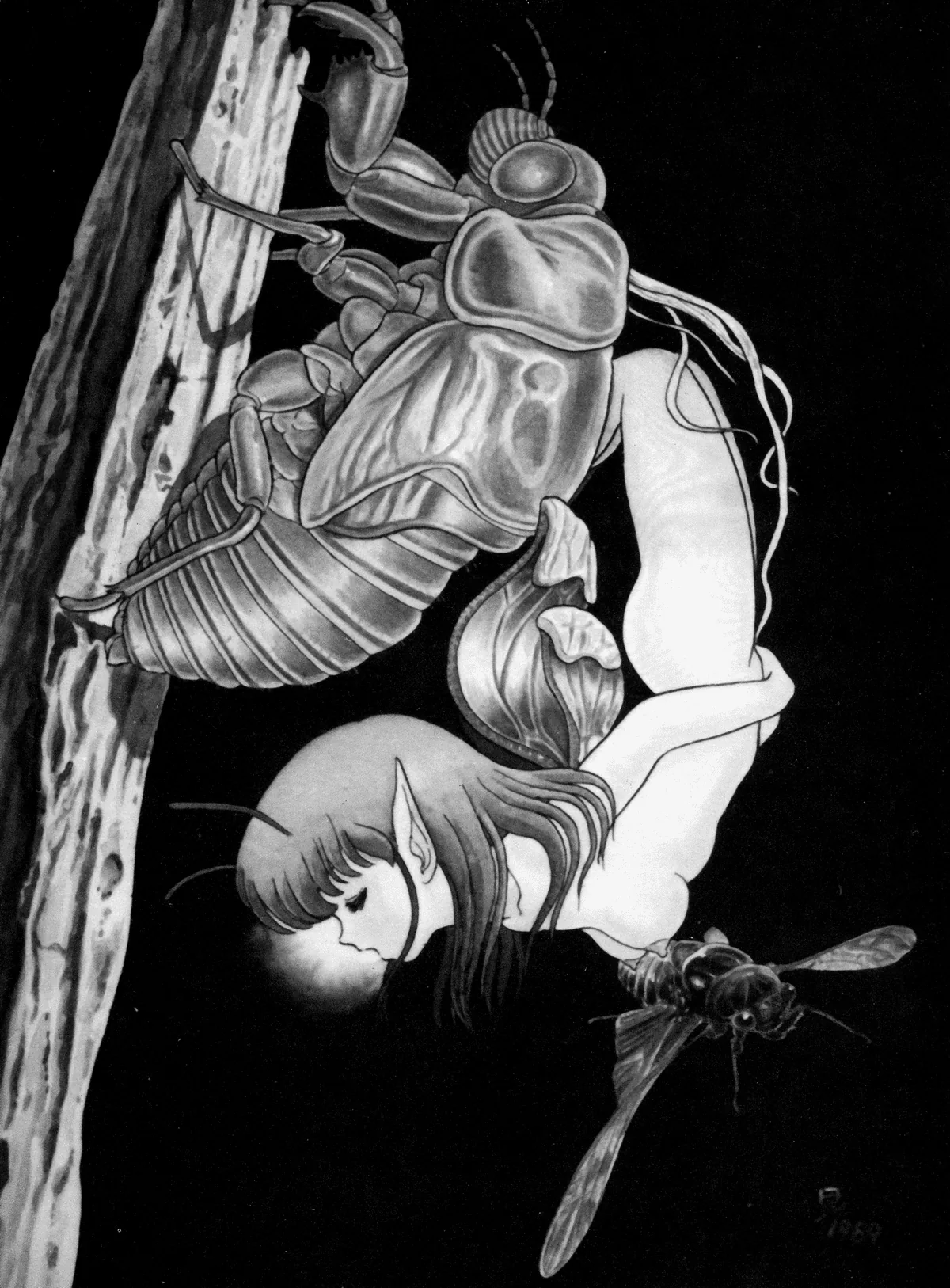 The New Bondage Fairies: Fairie Fetish Chapter 0.1 page 156 - 