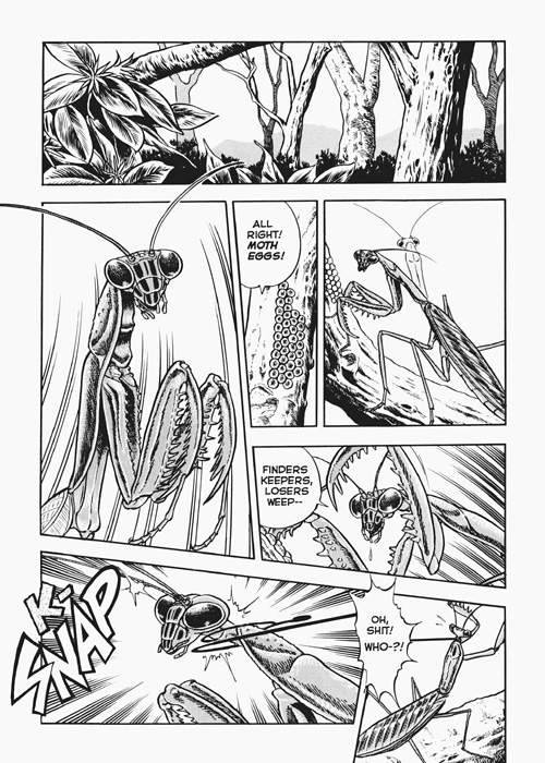The New Bondage Fairies: Fairie Fetish Chapter 0.2 page 41 - 