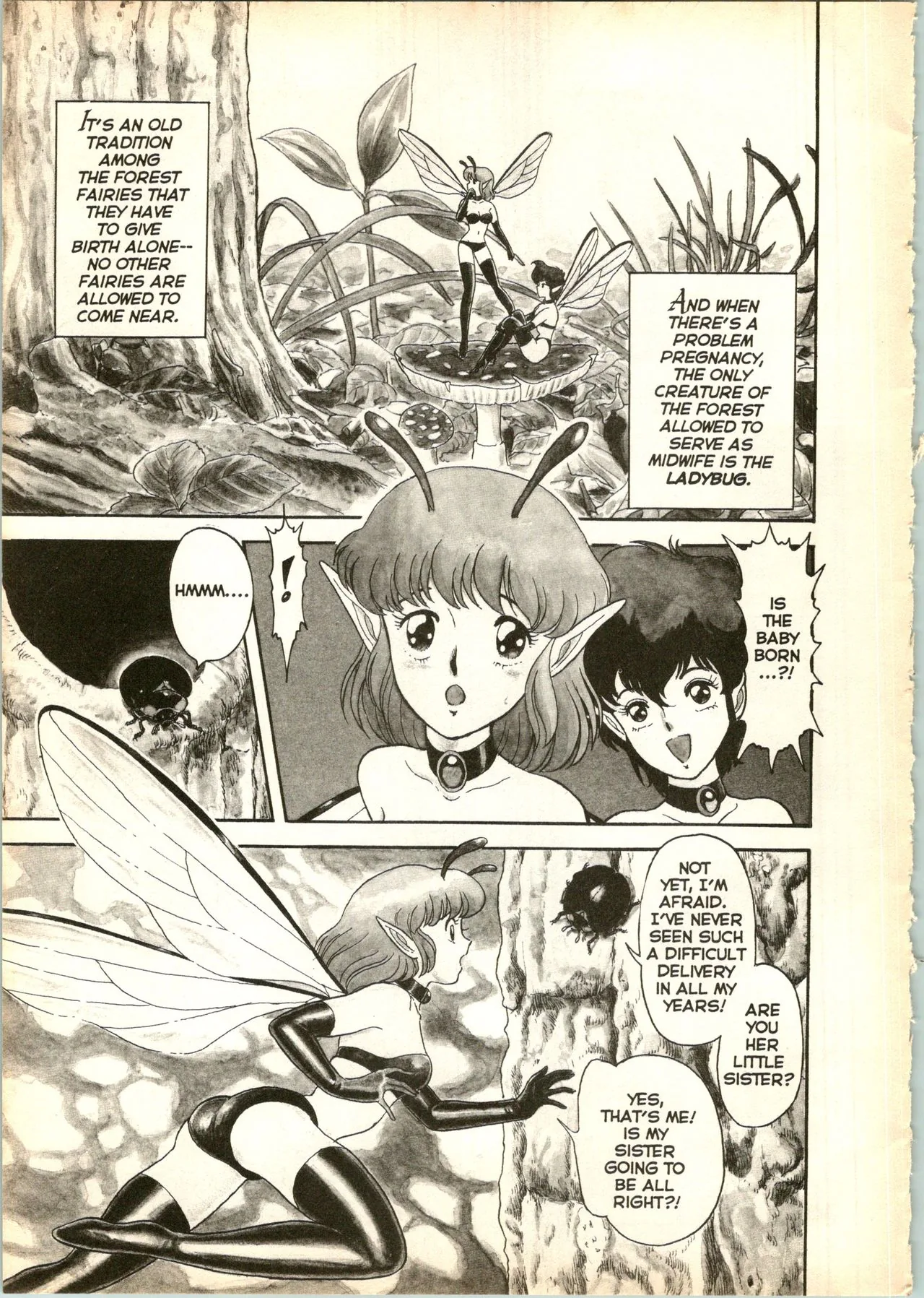 The New Bondage Fairies: Fairie Fetish Chapter 1 page 6 - 