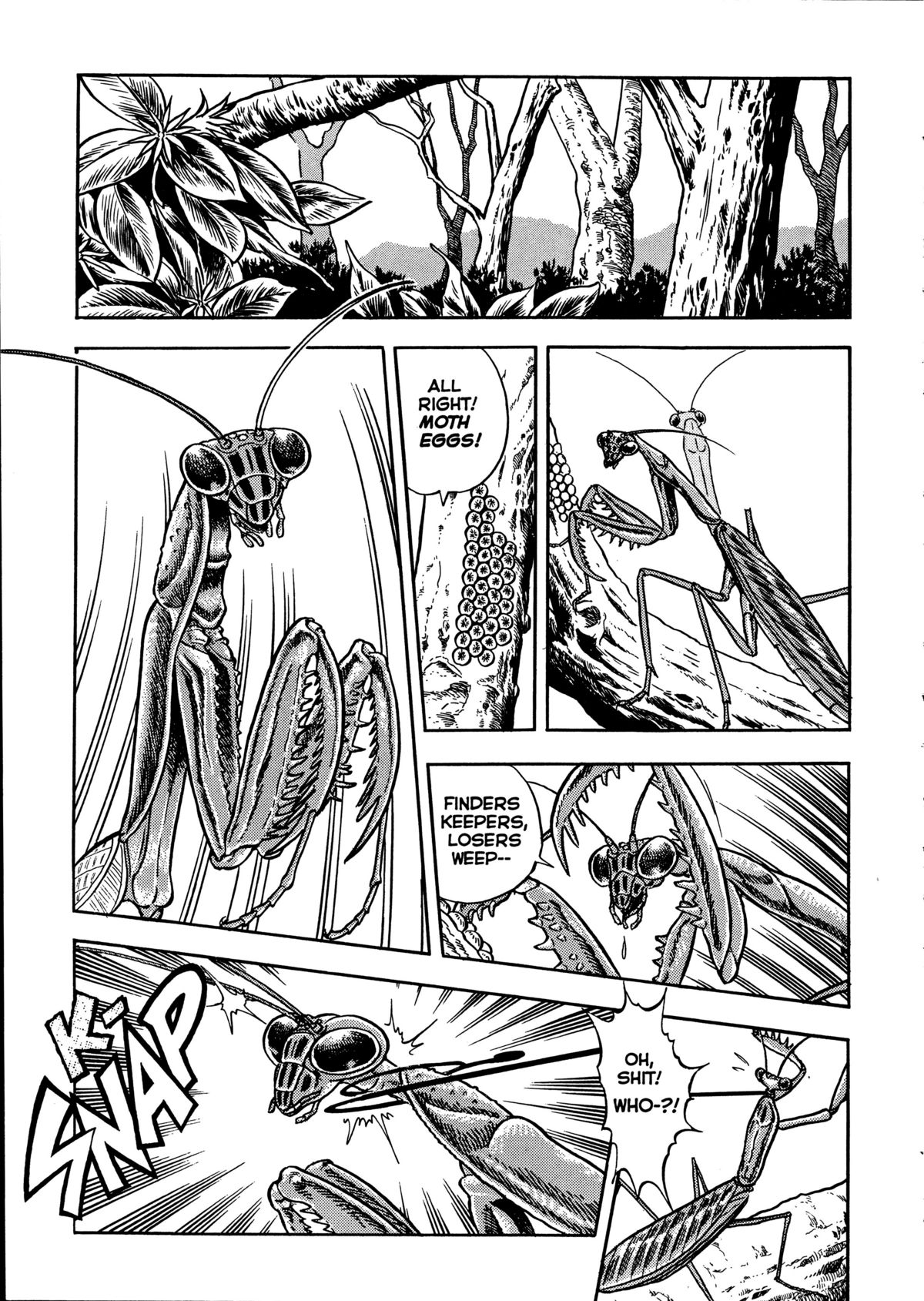 The New Bondage Fairies: Fairie Fetish Chapter 3 page 3 - 