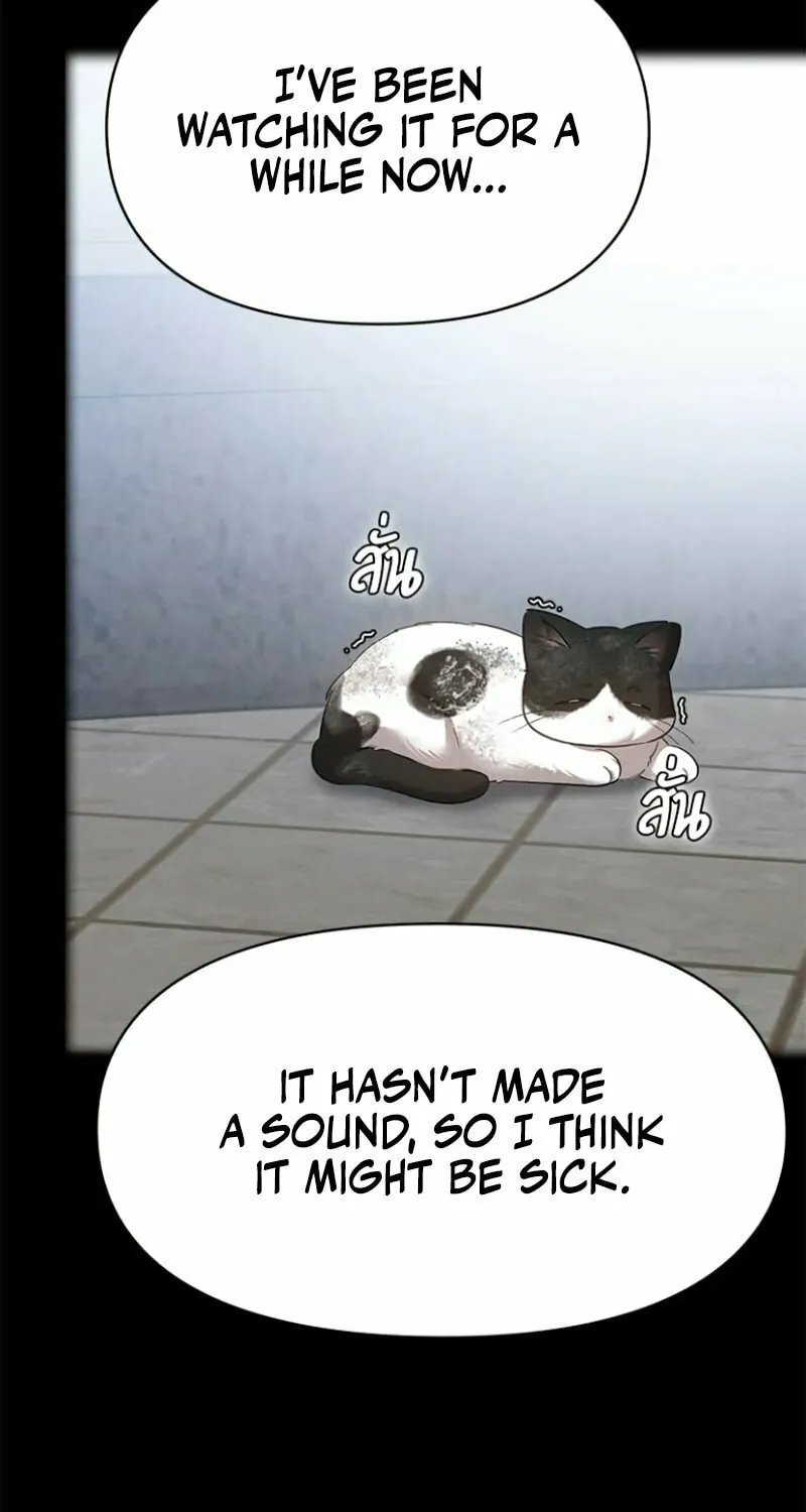 The Night Visitor Chapter 34 page 23 - 