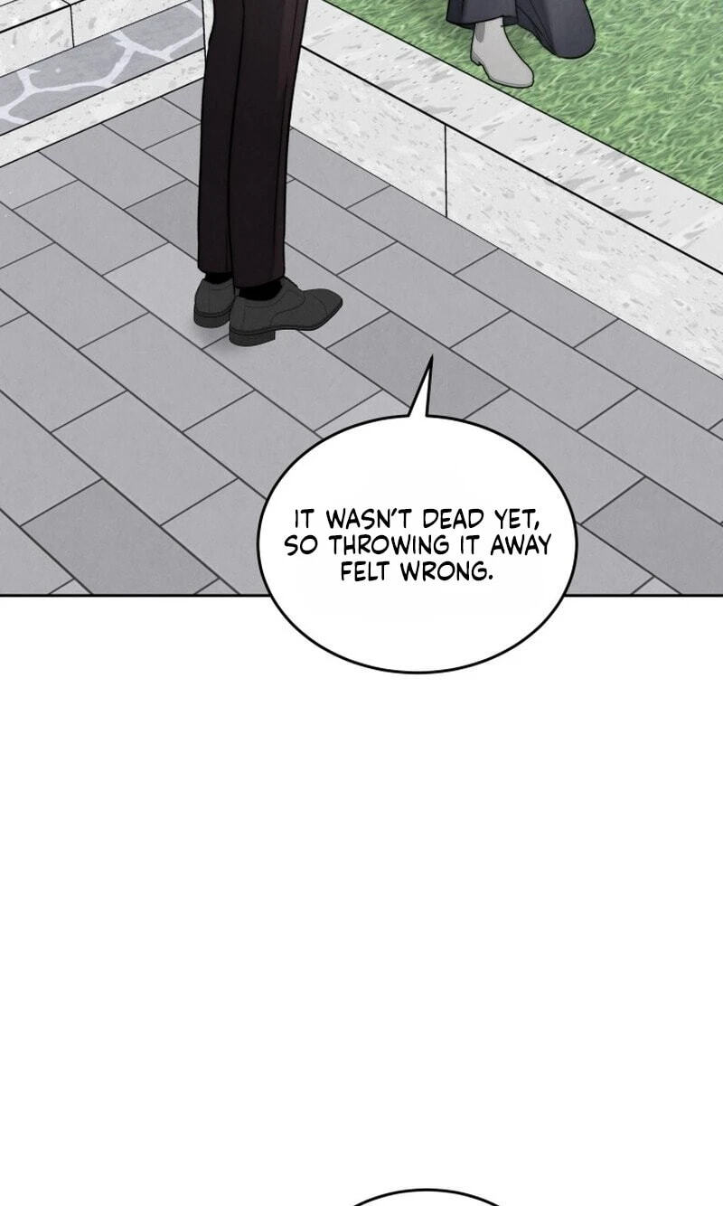 The Night with My Husband's Boss Chapter 30 page 28 - 