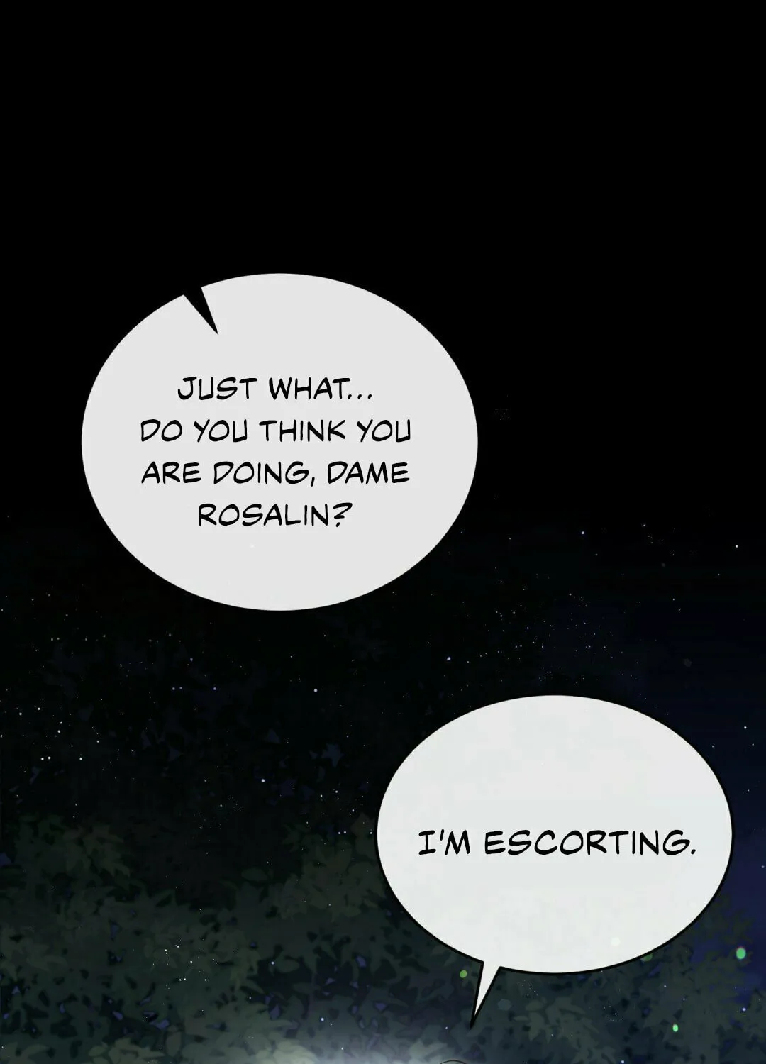 The Night Without Shadows Chapter 12 page 2 - 