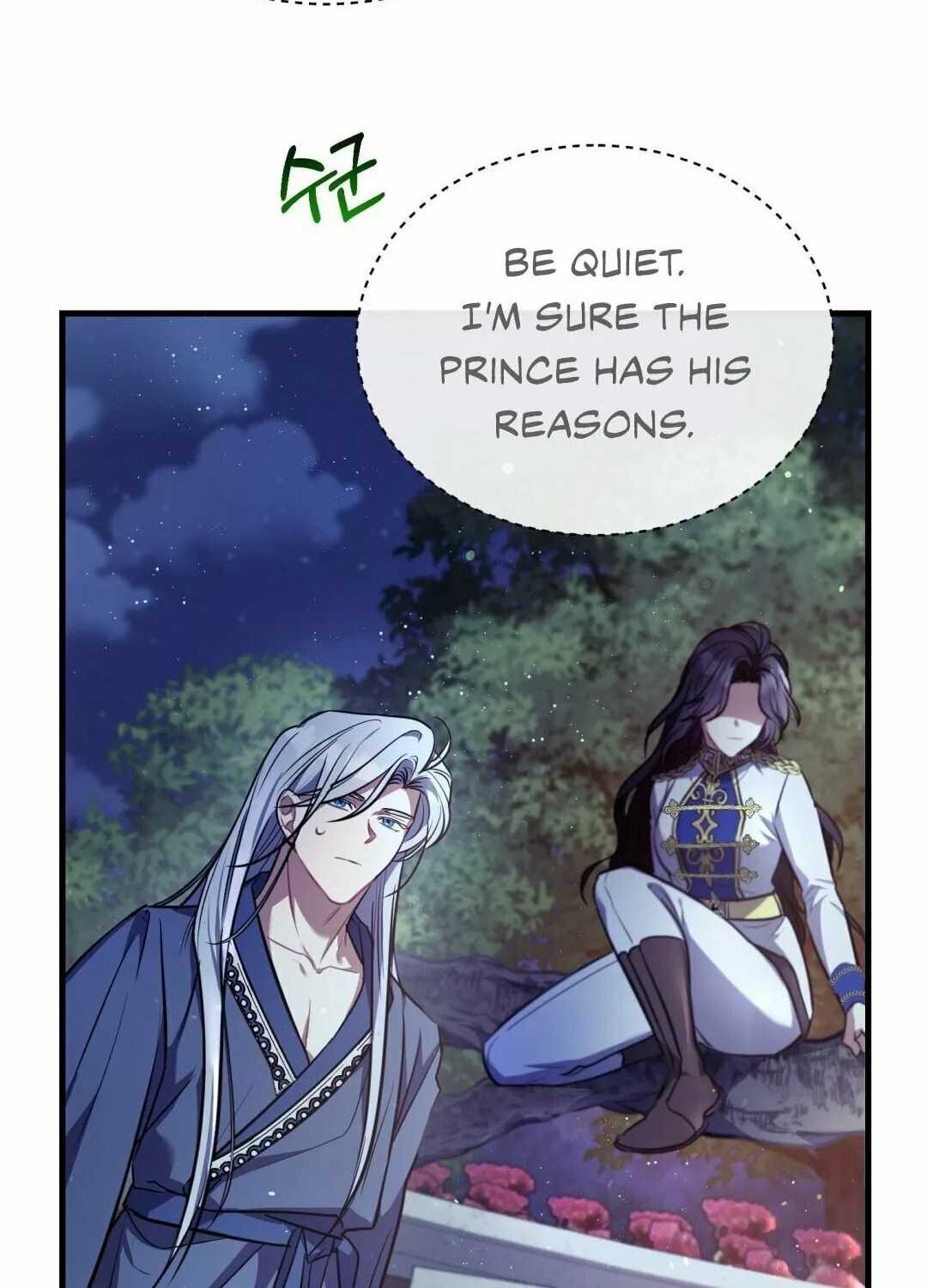 The Night Without Shadows Chapter 12 page 14 - 