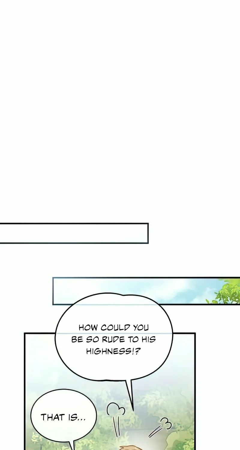 The Night Without Shadows Chapter 16 page 51 - 