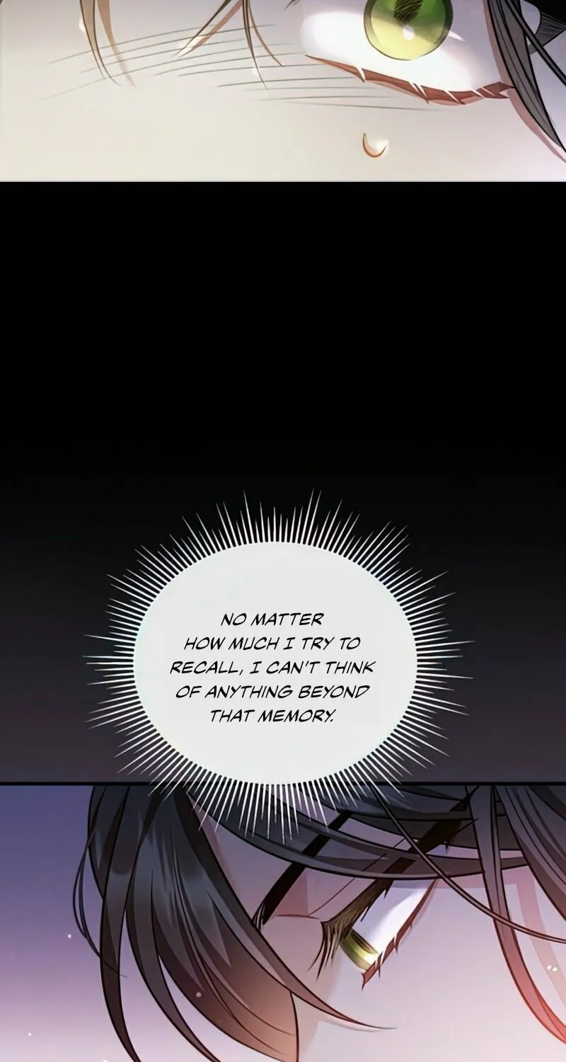 The Night Without Shadows Chapter 16 page 69 - 