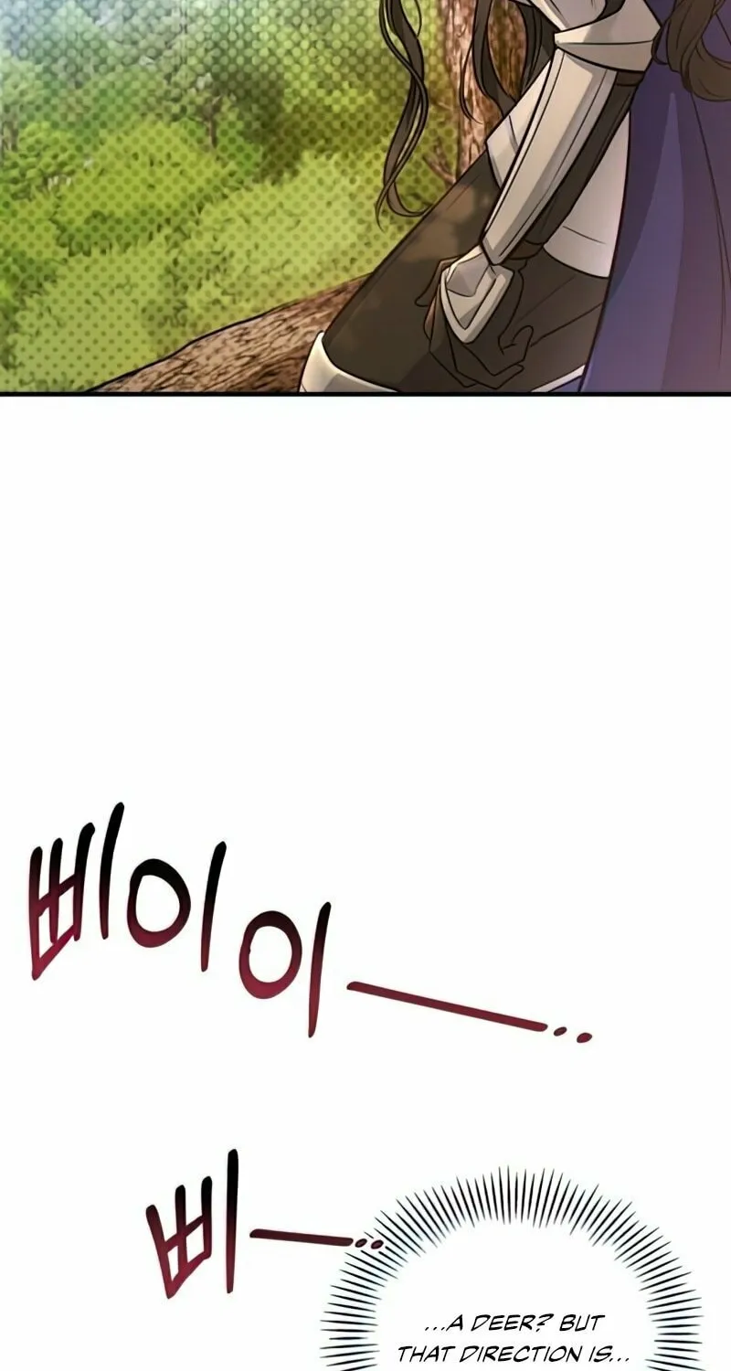 The Night Without Shadows Chapter 16 page 72 - 