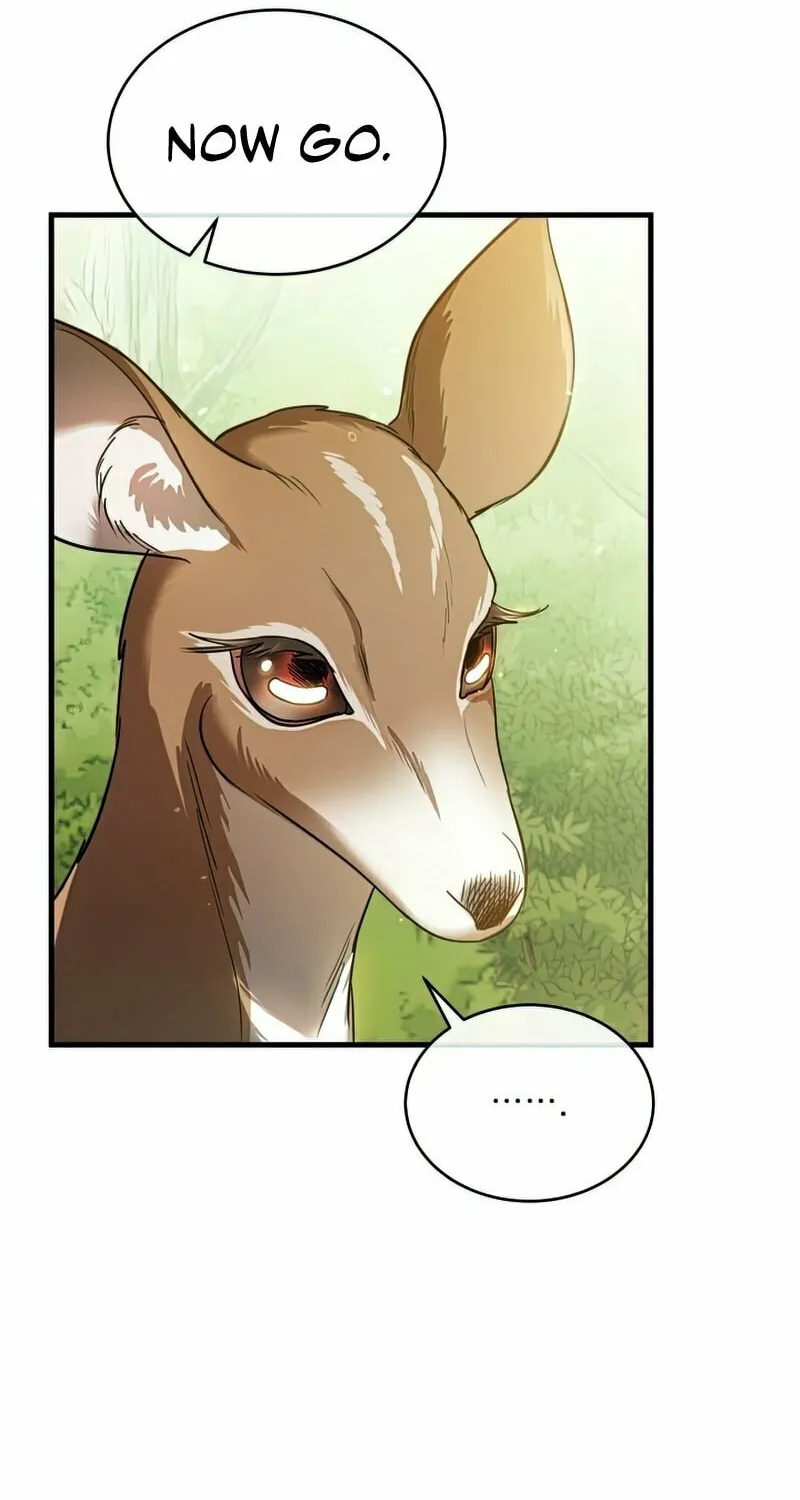 The Night Without Shadows Chapter 17 page 14 - 