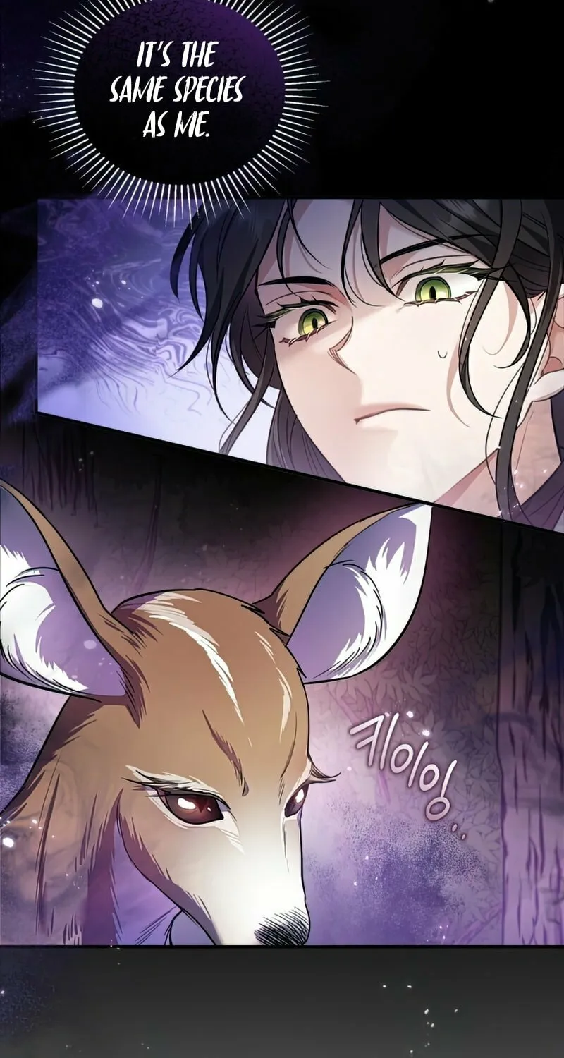 The Night Without Shadows Chapter 17 page 5 - 