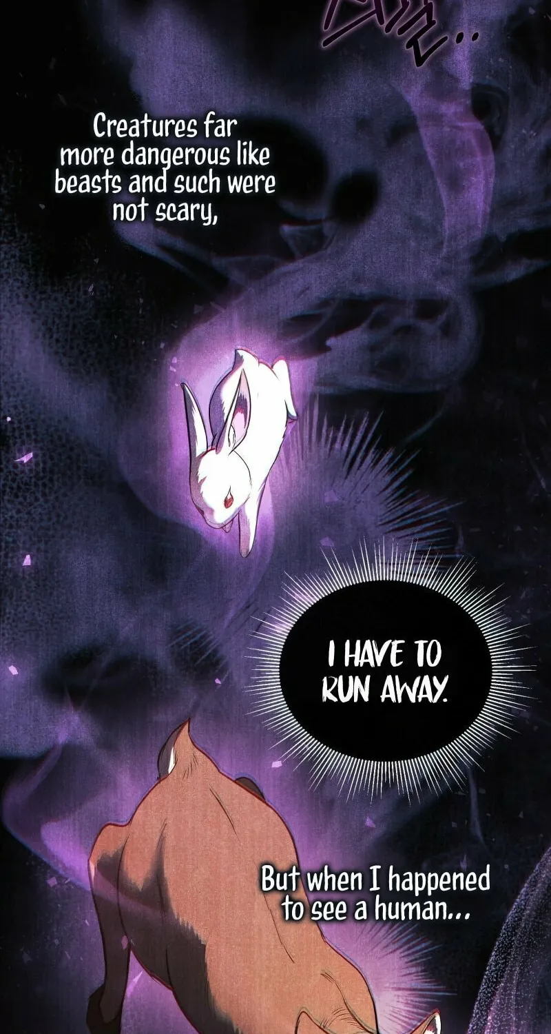 The Night Without Shadows Chapter 18 page 12 - 