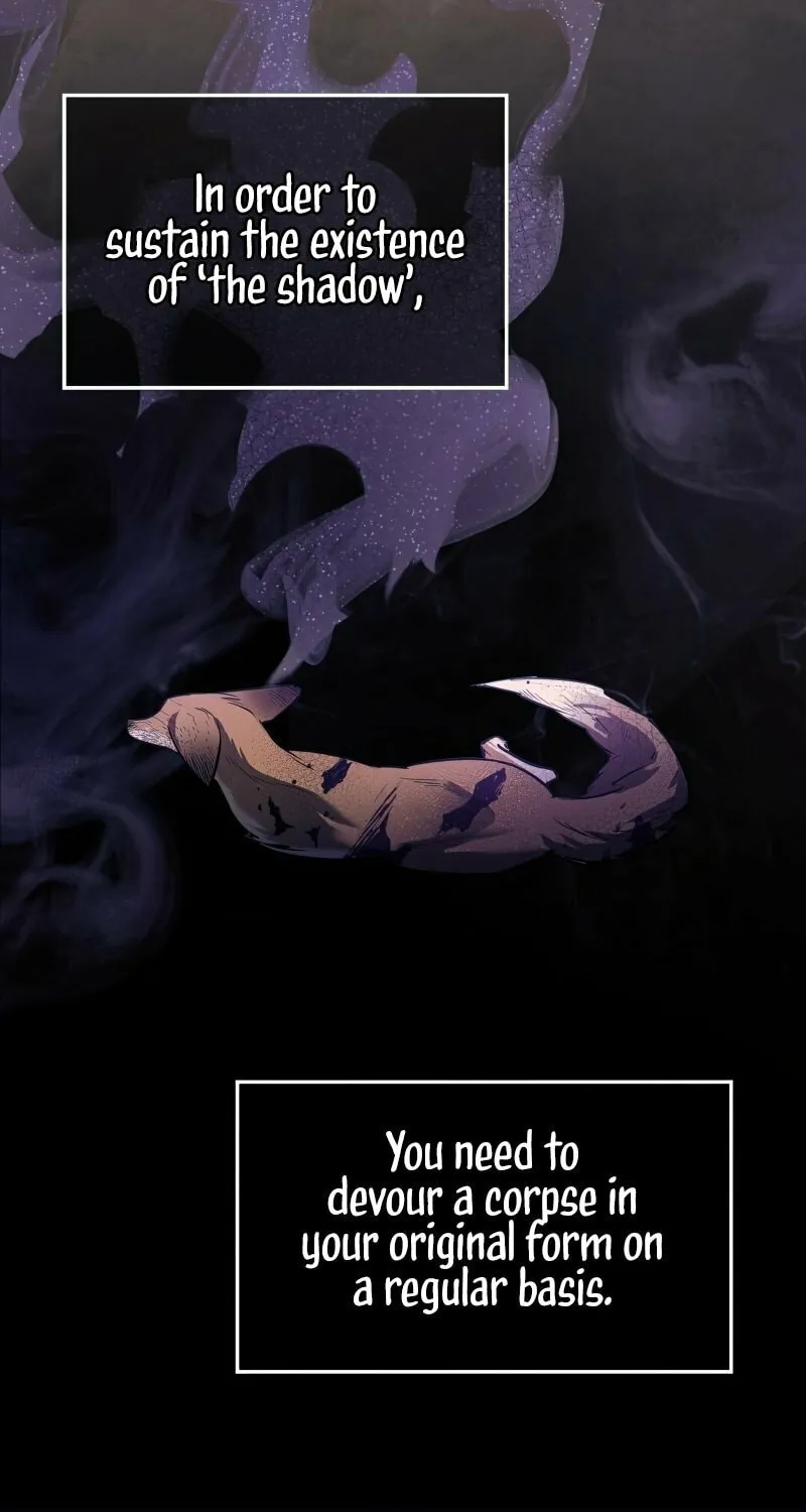 The Night Without Shadows Chapter 18 page 29 - 