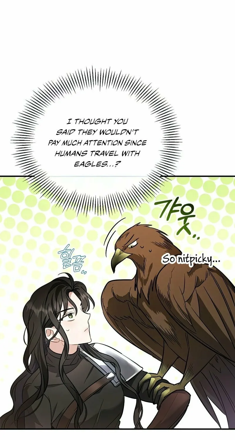 The Night Without Shadows Chapter 18 page 50 - 