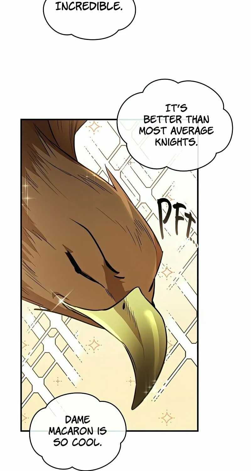 The Night Without Shadows Chapter 18 page 71 - 