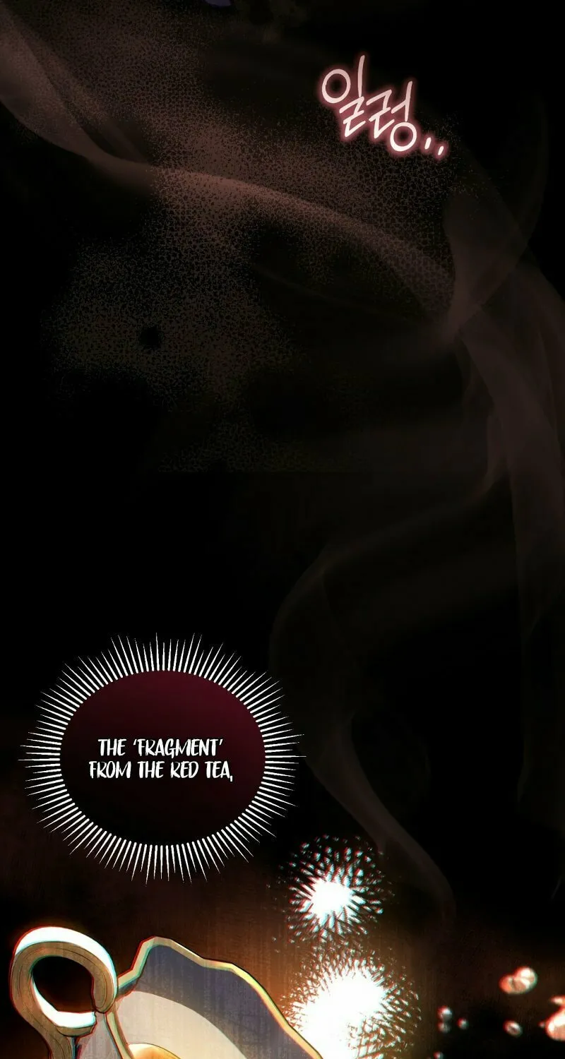 The Night Without Shadows Chapter 19 page 26 - 